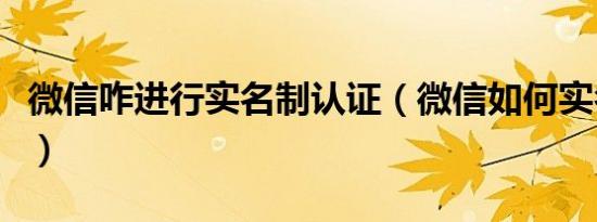 微信咋进行实名制认证（微信如何实名制认证）