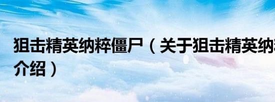 狙击精英纳粹僵尸（关于狙击精英纳粹僵尸的介绍）
