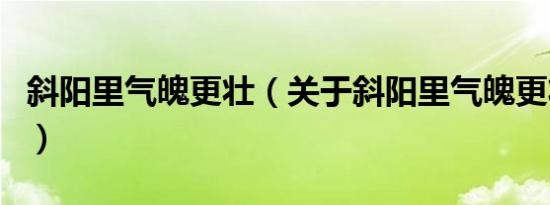 斜阳里气魄更壮（关于斜阳里气魄更壮的介绍）