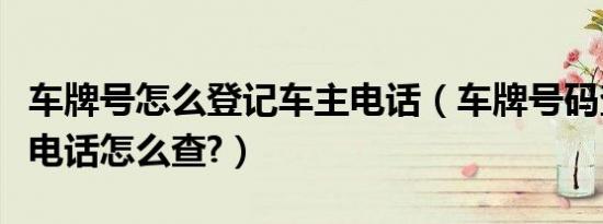 车牌号怎么登记车主电话（车牌号码查询车主电话怎么查?）