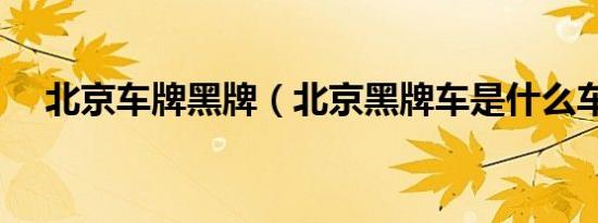 北京车牌黑牌（北京黑牌车是什么车辆）