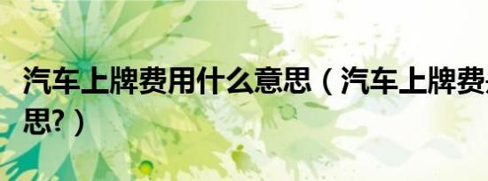 汽车上牌费用什么意思（汽车上牌费是什么意思?）