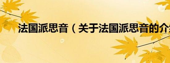 法国派思音（关于法国派思音的介绍）
