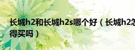 长城h2和长城h2s哪个好（长城h2怎么样值得买吗）
