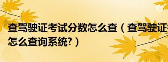 查驾驶证考试分数怎么查（查驾驶证考试分数怎么查询系统?）