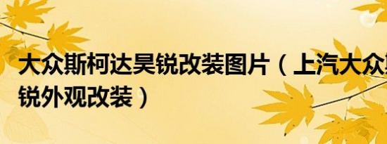大众斯柯达昊锐改装图片（上汽大众斯柯达昊锐外观改装）