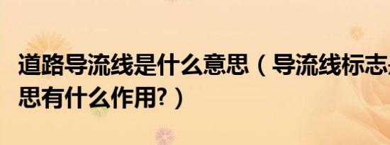 道路导流线是什么意思（导流线标志是什么意思有什么作用?）