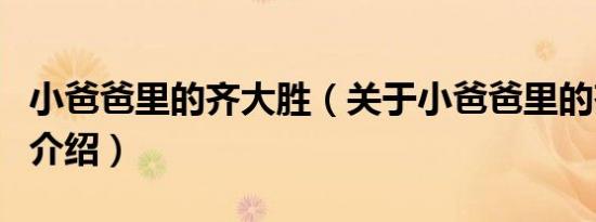 小爸爸里的齐大胜（关于小爸爸里的齐大胜的介绍）