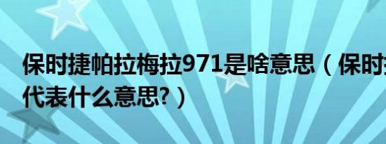 保时捷帕拉梅拉971是啥意思（保时捷971是代表什么意思?）