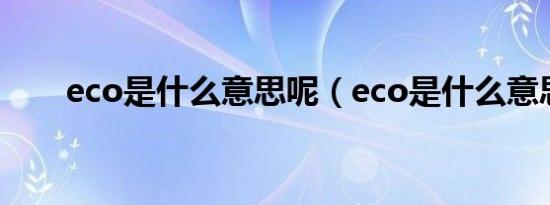 eco是什么意思呢（eco是什么意思）