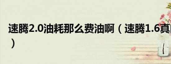 速腾2.0油耗那么费油啊（速腾1.6真的费油吗）