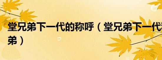 堂兄弟下一代的称呼（堂兄弟下一代称什么兄弟）