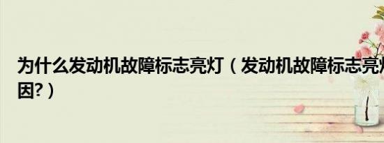 为什么发动机故障标志亮灯（发动机故障标志亮灯是什么原因?）