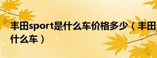 丰田sport是什么车价格多少（丰田sport是什么车）