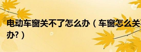 电动车窗关不了怎么办（车窗怎么关不了怎么办?）