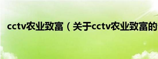 cctv农业致富（关于cctv农业致富的介绍）