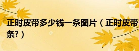 正时皮带多少钱一条图片（正时皮带多少钱一条?）