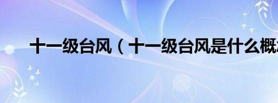 十一级台风（十一级台风是什么概念）