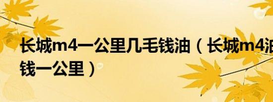 长城m4一公里几毛钱油（长城m4油耗多少钱一公里）