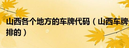 山西各个地方的车牌代码（山西车牌代码怎么排的）