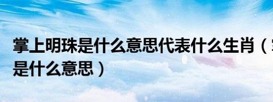 掌上明珠是什么意思代表什么生肖（掌上明珠是什么意思）