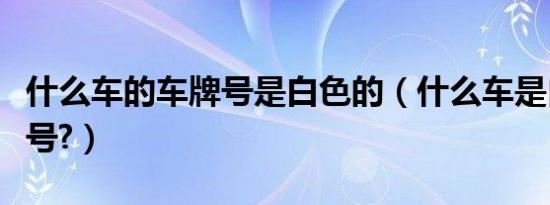 什么车的车牌号是白色的（什么车是白色车牌号?）