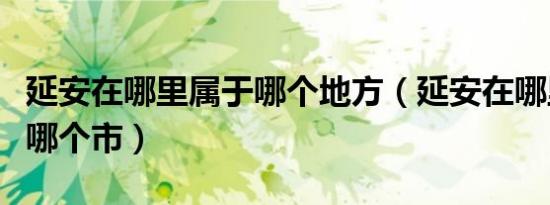 延安在哪里属于哪个地方（延安在哪里哪个省哪个市）