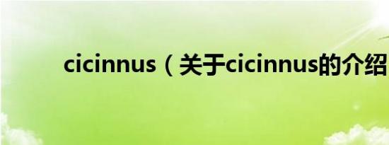 cicinnus（关于cicinnus的介绍）