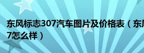东风标志307汽车图片及价格表（东风标志307怎么样）