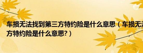 车损无法找到第三方特约险是什么意思（车损无法找到第三方特约险是什么意思?）