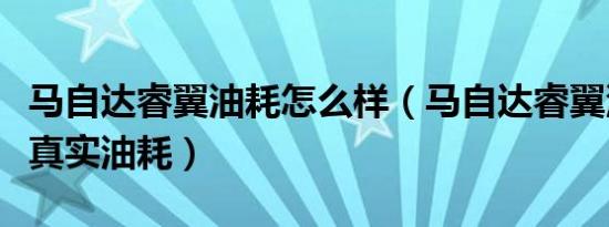 马自达睿翼油耗怎么样（马自达睿翼油耗多少真实油耗）