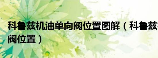 科鲁兹机油单向阀位置图解（科鲁兹机油单向阀位置）