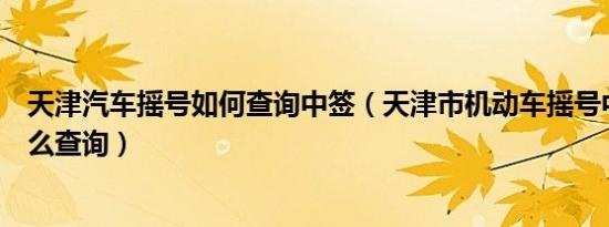 天津汽车摇号如何查询中签（天津市机动车摇号中签情况怎么查询）