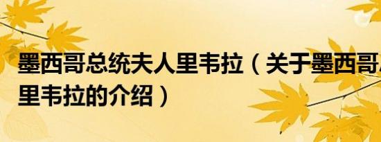 墨西哥总统夫人里韦拉（关于墨西哥总统夫人里韦拉的介绍）