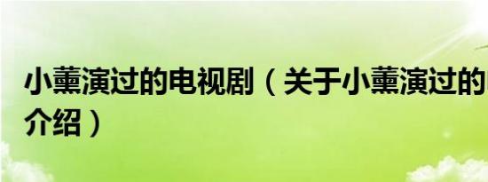 小薰演过的电视剧（关于小薰演过的电视剧的介绍）