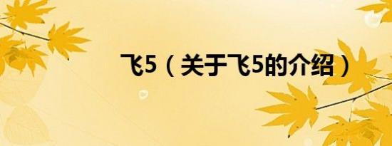 飞5（关于飞5的介绍）