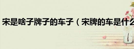 宋是啥子牌子的车子（宋牌的车是什么牌子）