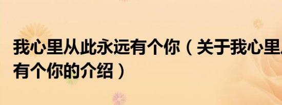 我心里从此永远有个你（关于我心里从此永远有个你的介绍）