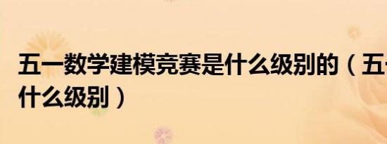 五一数学建模竞赛是什么级别的（五一建模是什么级别）