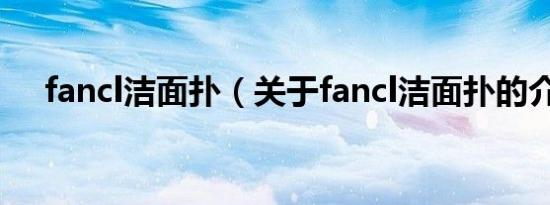 fancl洁面扑（关于fancl洁面扑的介绍）
