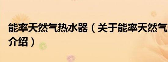 能率天然气热水器（关于能率天然气热水器的介绍）