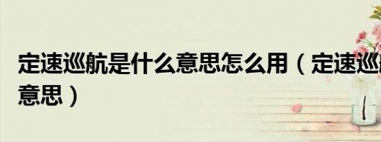 定速巡航是什么意思怎么用（定速巡航是什么意思）