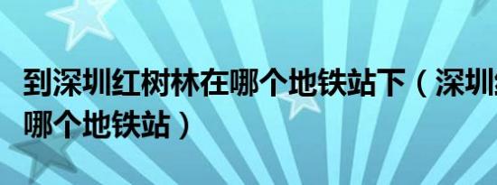 到深圳红树林在哪个地铁站下（深圳红树林在哪个地铁站）