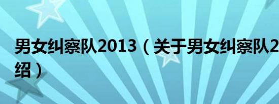 男女纠察队2013（关于男女纠察队2013的介绍）