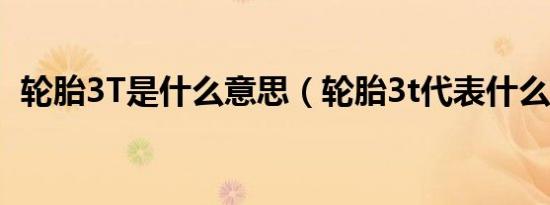 轮胎3T是什么意思（轮胎3t代表什么意思）