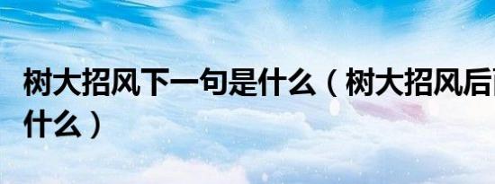 树大招风下一句是什么（树大招风后面一句是什么）