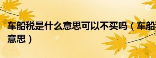 车船税是什么意思可以不买吗（车船税是什么意思）