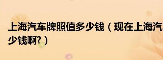 上海汽车牌照值多少钱（现在上海汽车牌照多少钱啊?）