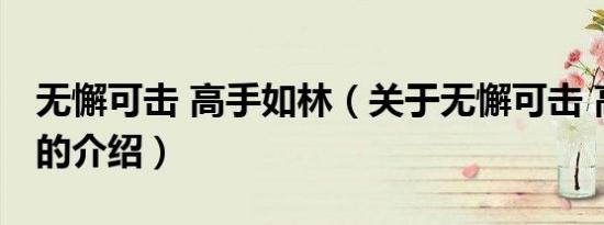 无懈可击 高手如林（关于无懈可击 高手如林的介绍）