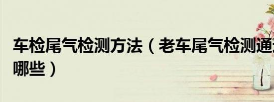 车检尾气检测方法（老车尾气检测通过技巧有哪些）